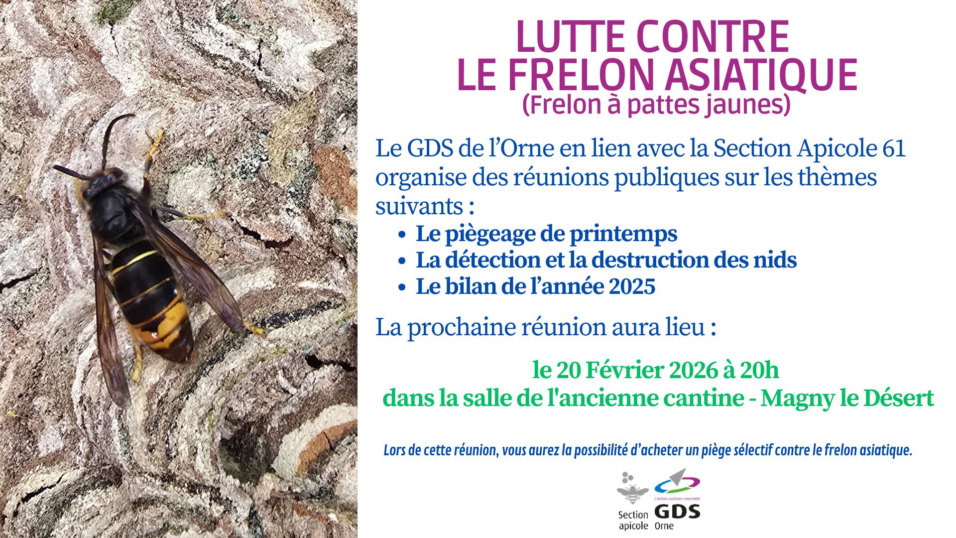 Réunion Publique sur le Frelon Asiatique